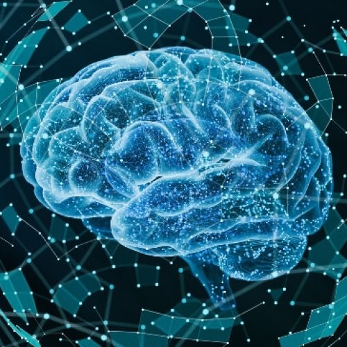 neurociencia
